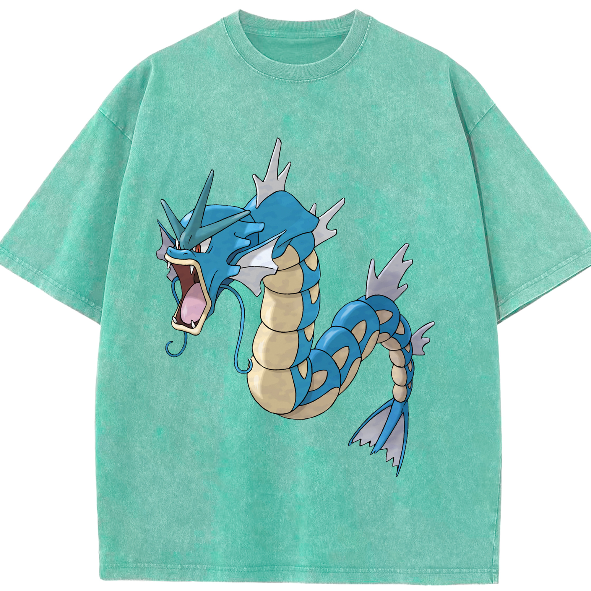 （画像用） ポケットモンスター Pokémon 綿100% ヴィンテージ風 半袖Tシャツ（フロントプリント）